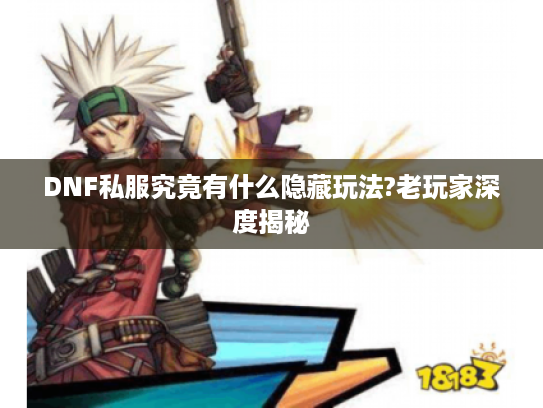 DNF私服究竟有什么隐藏玩法?老玩家深度揭秘