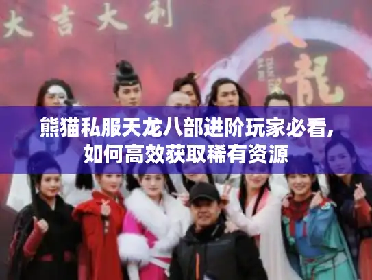 熊猫私服天龙八部进阶玩家必看,如何高效获取稀有资源