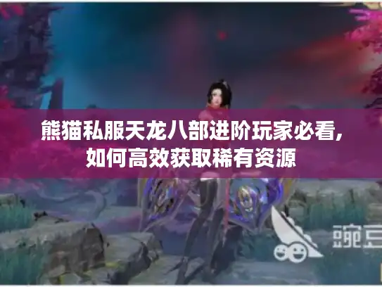 熊猫私服天龙八部进阶玩家必看,如何高效获取稀有资源