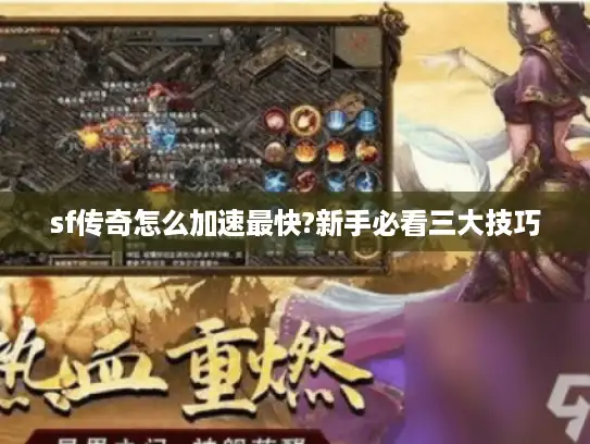 sf传奇怎么加速最快?新手必看三大技巧