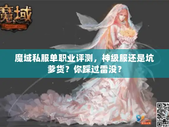 魔域私服单职业评测,神级服还是坑爹货?你踩过雷没? 魔域私服单职业评测,神级服还是坑爹货?你踩过雷没?