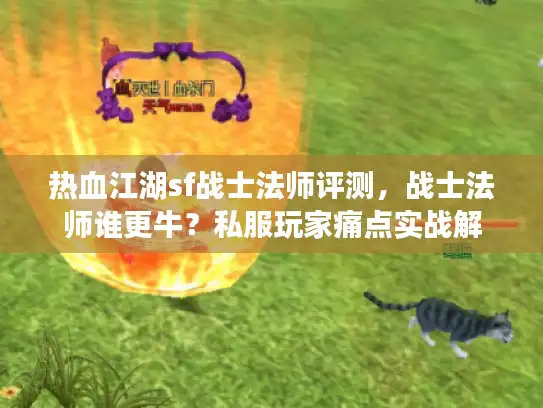热血江湖sf战士法师评测,战士法师谁更牛?私服玩家痛点实战解 热血江湖sf战士法师评测,战士法师谁更牛?私服玩家痛点实战解