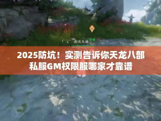 2025防坑!实测告诉你天龙八部私服GM权限服哪家才靠谱 2025防坑!实测告诉你天龙八部私服GM权限服哪家才靠谱