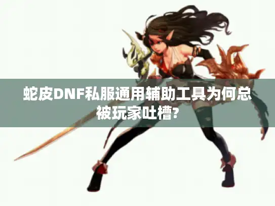 蛇皮DNF私服通用辅助工具为何总被玩家吐槽?
