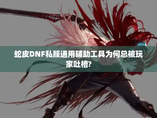 蛇皮DNF私服通用辅助工具为何总被玩家吐槽?