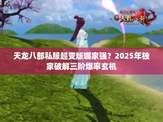 天龙八部私服超变版哪家强？2025年独家破解三阶爆率玄机