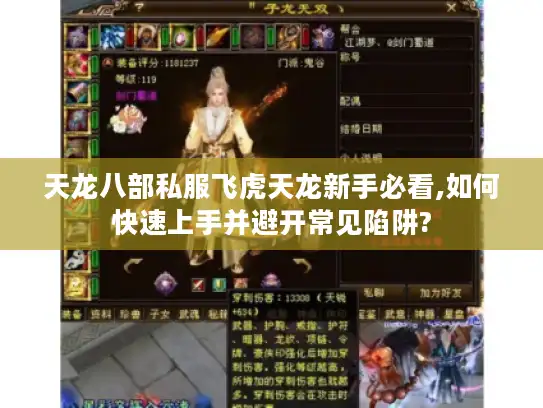 天龙八部私服飞虎天龙新手必看,如何快速上手并避开常见陷阱?