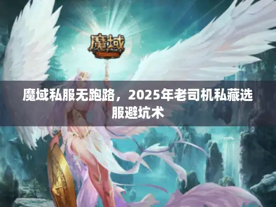 魔域私服无跑路，2025年老司机私藏选服避坑术