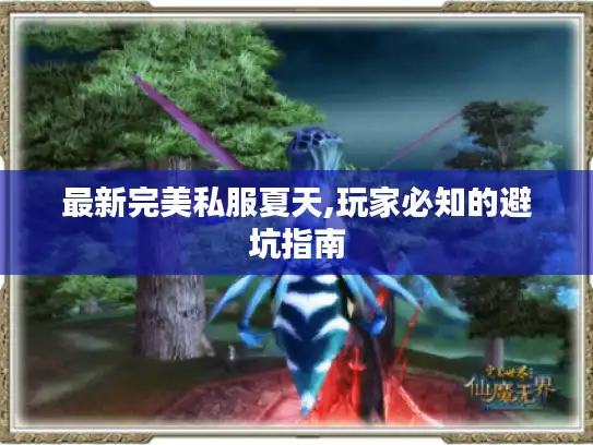 最新完美私服夏天,玩家必知的避坑指南