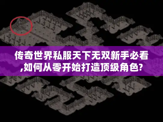传奇世界私服天下无双新手必看,如何从零开始打造顶级角色?