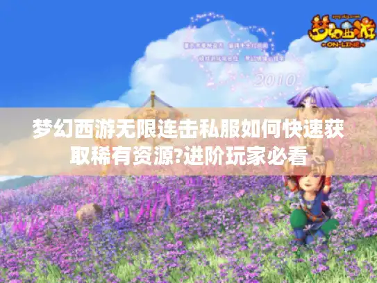 梦幻西游无限连击私服如何快速获取稀有资源?进阶玩家必看