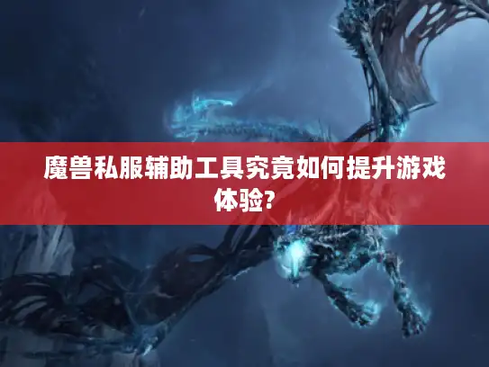 魔兽私服辅助工具究竟如何提升游戏体验?