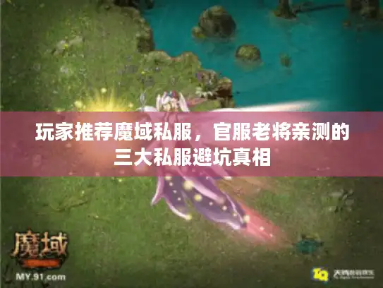 玩家推荐魔域私服,官服老将亲测的三大私服避坑真相 玩家推荐魔域私服,官服老将亲测的三大私服避坑真相