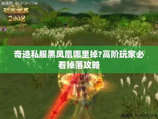 奇迹私服黑凤凰哪里掉?高阶玩家必看掉落攻略