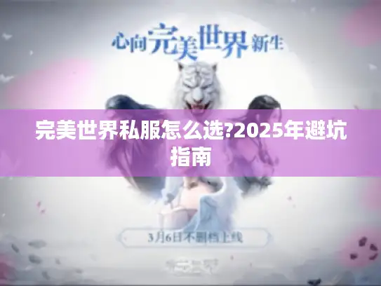 完美世界私服怎么选?2025年避坑指南 完美世界私服怎么选?2025年避坑指南