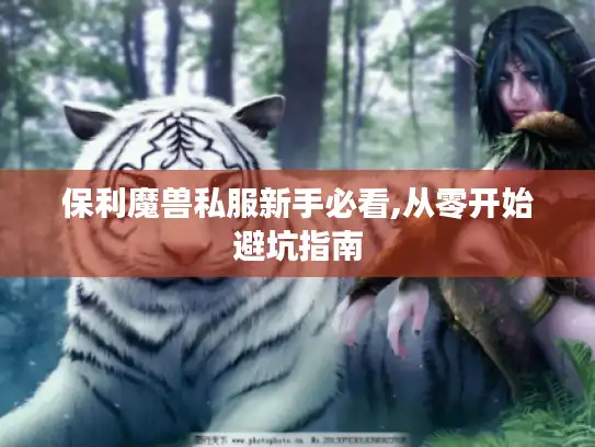 保利魔兽私服新手必看,从零开始避坑指南