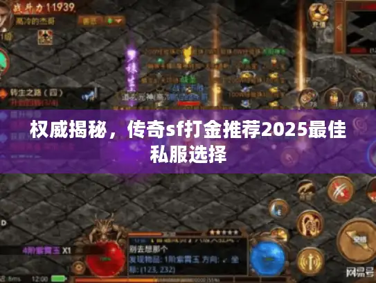 权威揭秘，传奇sf打金推荐2025最佳私服选择
