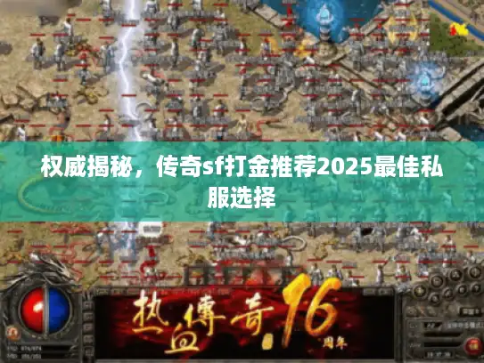 权威揭秘，传奇sf打金推荐2025最佳私服选择