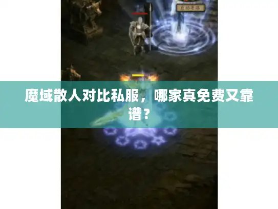 魔域散人对比私服，哪家真免费又靠谱？