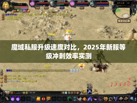魔域私服升级速度对比，2025年新服等级冲刺效率实测