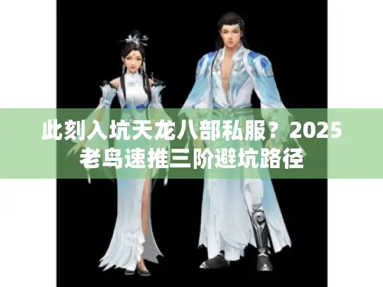 此刻入坑天龙八部私服？2025老鸟速推三阶避坑路径