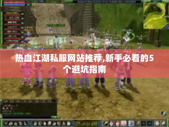 热血江湖私服网站推荐,新手必看的5个避坑指南