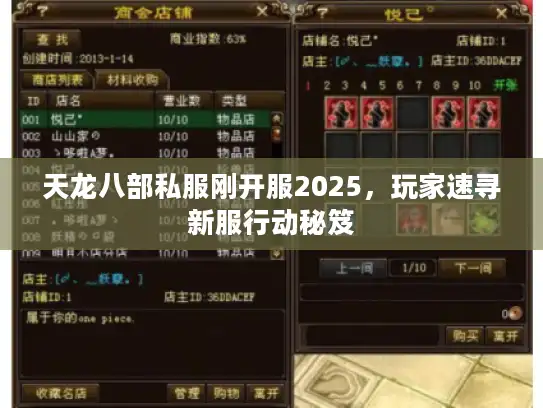 天龙八部私服刚开服2025,玩家速寻新服行动秘笈 天龙八部私服刚开服2025,玩家速寻新服行动秘笈