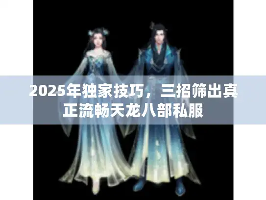 2025年独家技巧，三招筛出真正流畅天龙八部私服