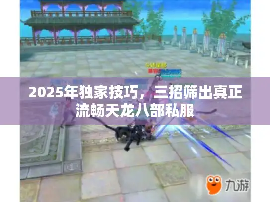 2025年独家技巧，三招筛出真正流畅天龙八部私服