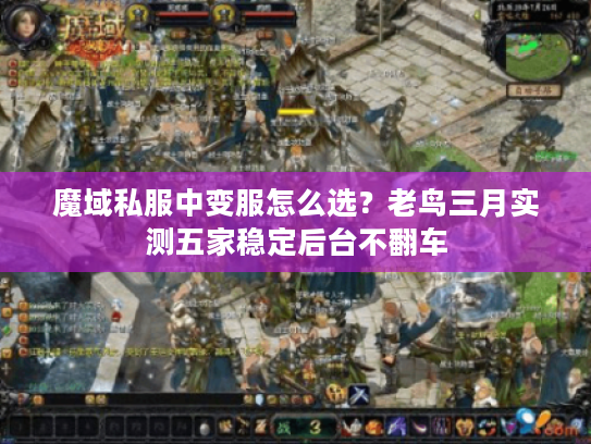 魔域私服中变服怎么选?老鸟三月实测五家稳定后台不翻车 魔域私服中变服怎么选?老鸟三月实测五家稳定后台不翻车