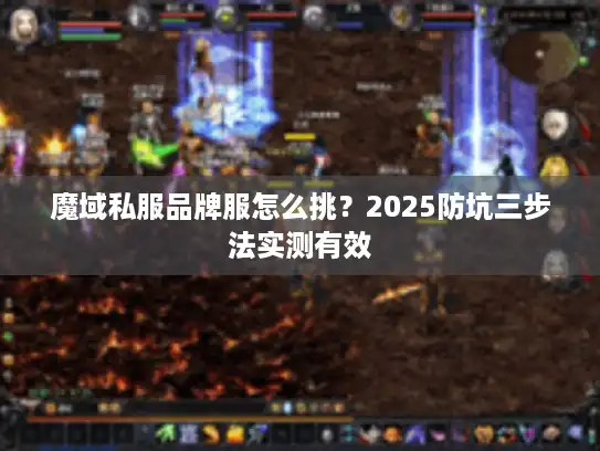 魔域私服品牌服怎么挑？2025防坑三步法实测有效