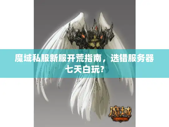 魔域私服新服开荒指南,选错服务器七天白玩? 魔域私服新服开荒指南,选错服务器七天白玩?