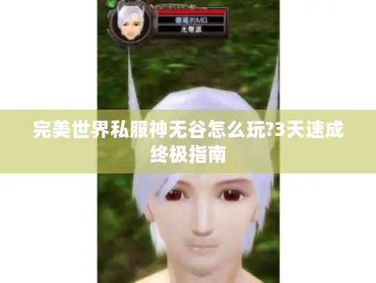 完美世界私服神无谷怎么玩?3天速成终极指南