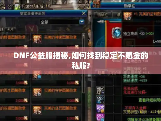 DNF公益服揭秘,如何找到稳定不氪金的私服?