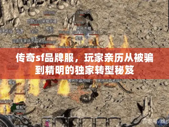 传奇sf品牌服,玩家亲历从被骗到精明的独家转型秘笈 传奇sf品牌服,玩家亲历从被骗到精明的独家转型秘笈