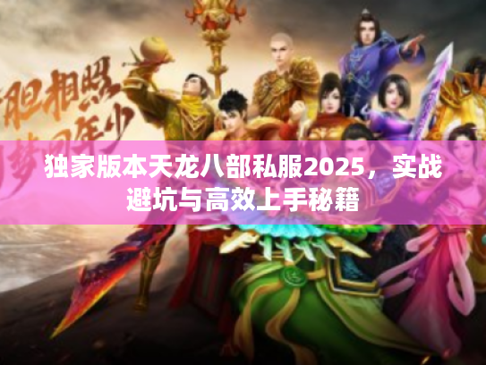 独家版本天龙八部私服2025，实战避坑与高效上手秘籍