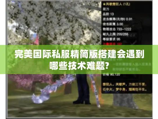 完美国际私服精简版搭建会遇到哪些技术难题?