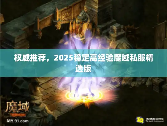 权威推荐，2025稳定高经验魔域私服精选版