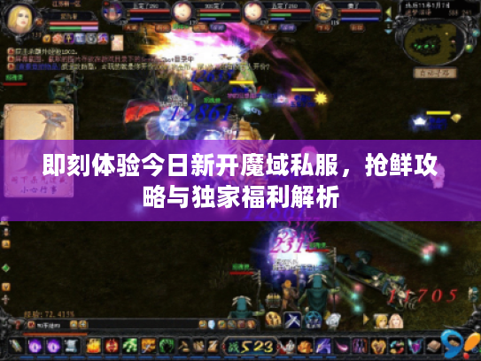 即刻体验今日新开魔域私服，抢鲜攻略与独家福利解析