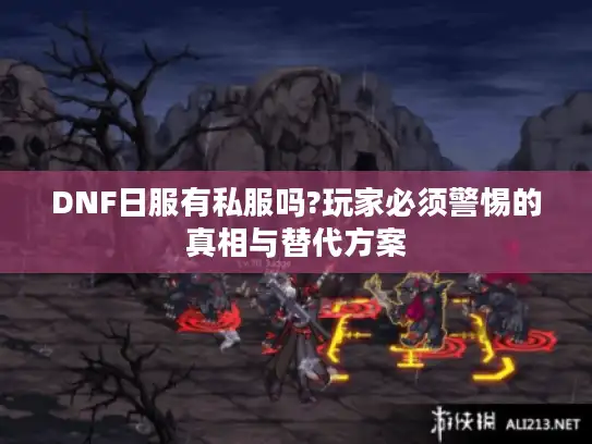 DNF日服有私服吗?玩家必须警惕的真相与替代方案