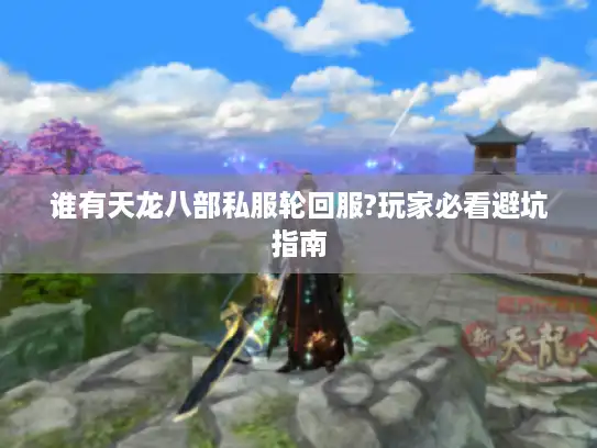 谁有天龙八部私服轮回服?玩家必看避坑指南