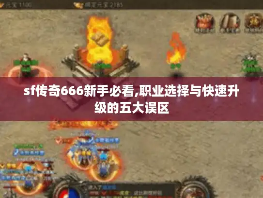 sf传奇666新手必看,职业选择与快速升级的五大误区
