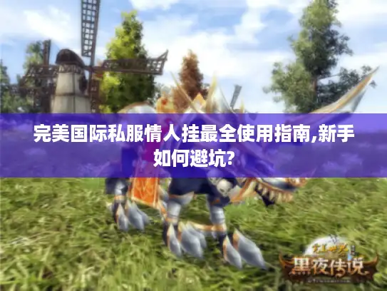 完美国际私服情人挂最全使用指南,新手如何避坑?