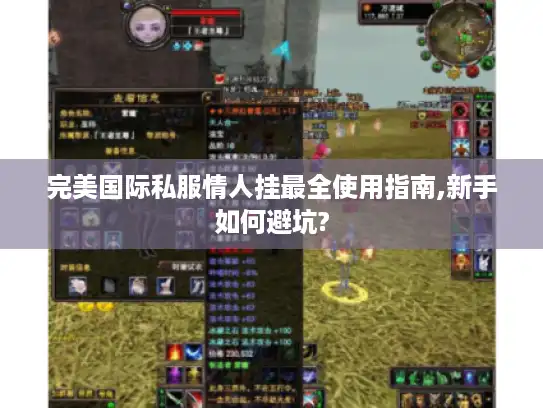 完美国际私服情人挂最全使用指南,新手如何避坑?