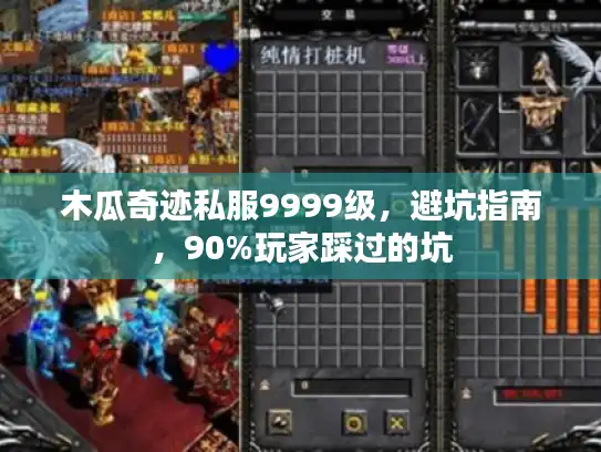 木瓜奇迹私服9999级，避坑指南，90%玩家踩过的坑