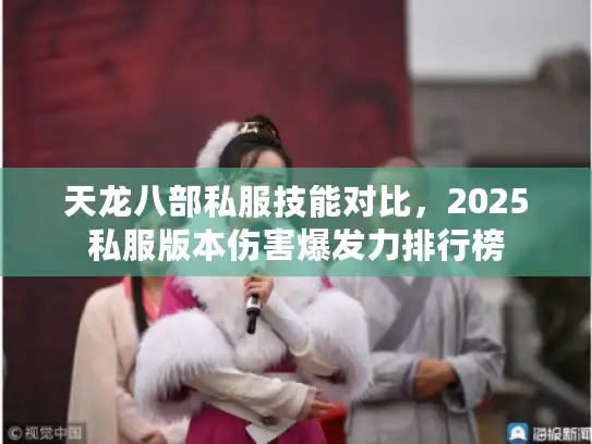 天龙八部私服技能对比，2025私服版本伤害爆发力排行榜