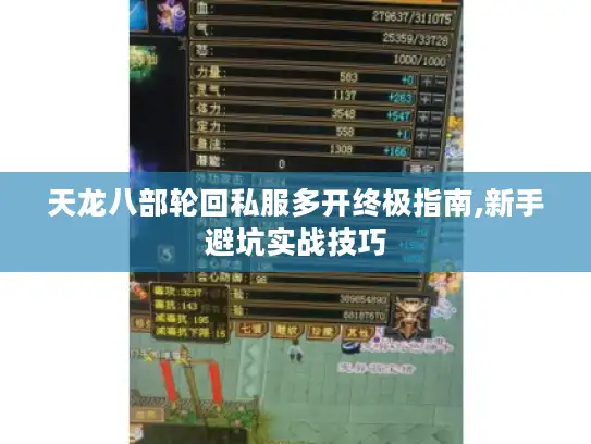 天龙八部轮回私服多开终极指南,新手避坑实战技巧