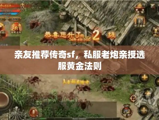 亲友推荐传奇sf，私服老炮亲授选服黄金法则