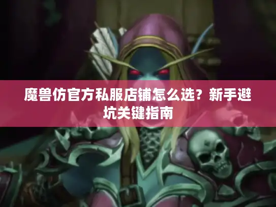 魔兽仿官方私服店铺怎么选？新手避坑关键指南