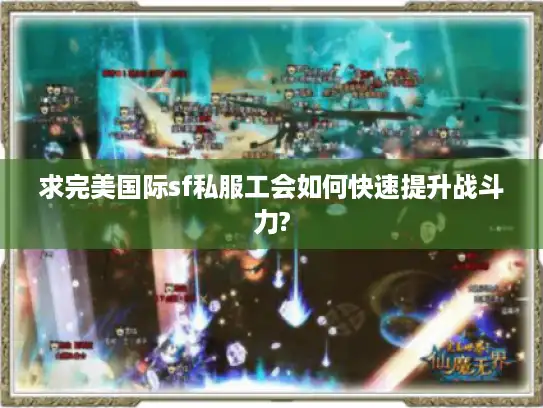 求完美国际sf私服工会如何快速提升战斗力? 求完美国际sf私服工会如何快速提升战斗力?